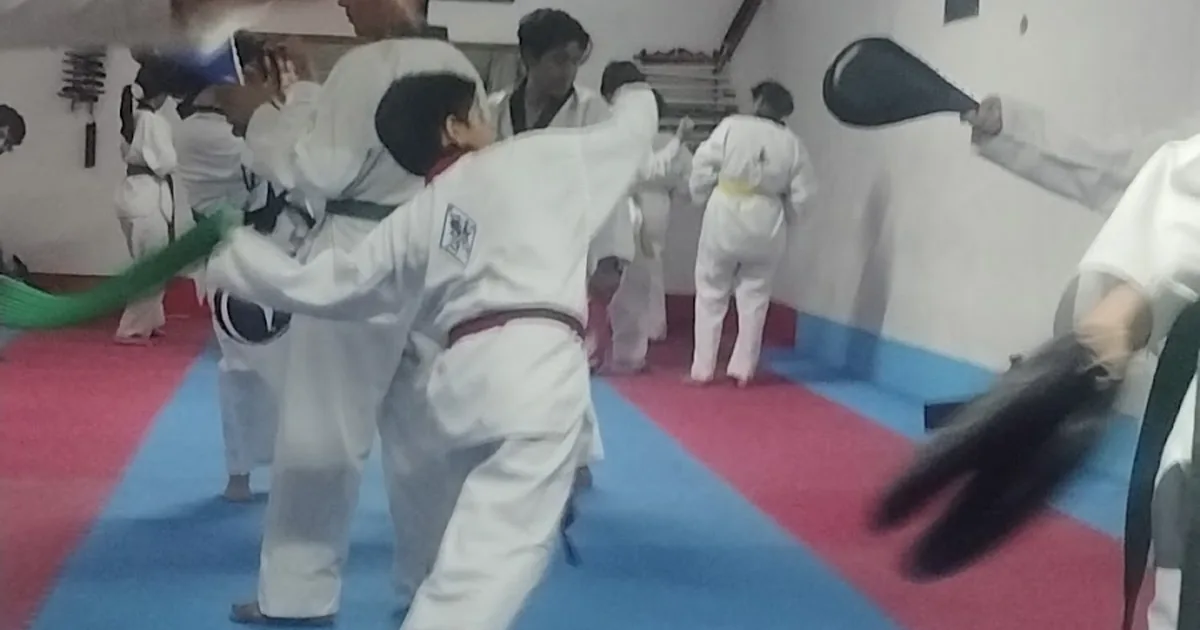 CIAM PROGRESO ( CORPORACION INTEGRAL DE ARTES MARCIALES)
